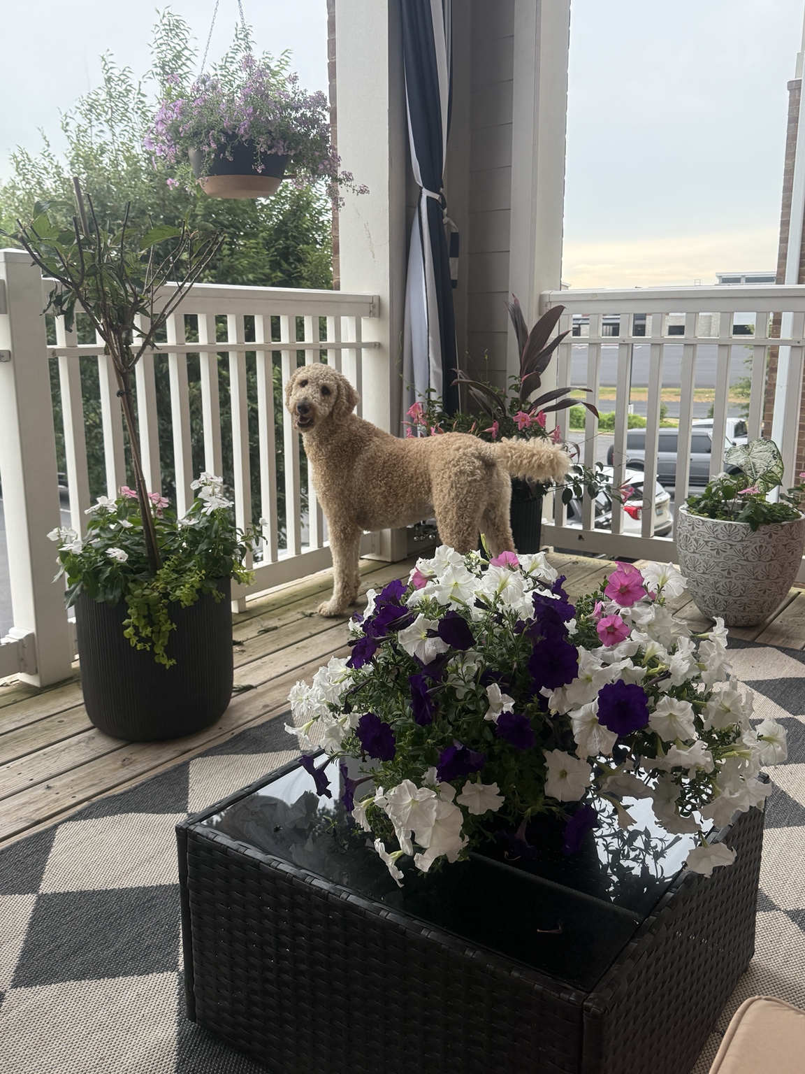 The flower-filled porch that inspired the Front Porch inside Plot Twisters